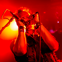 Jasio Iwanow - Wild Pig galeria