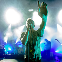 Jasio Iwanow - Coma galeria