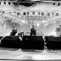 Jasio Iwanow - Buldog galeria