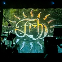 Jasio Iwanow - Fish galeria