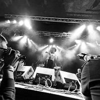 Jasio Iwanow - Kazik Na Żywo i Buldog galeria